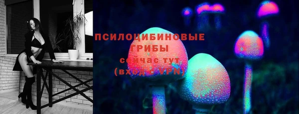 стафф Алексин