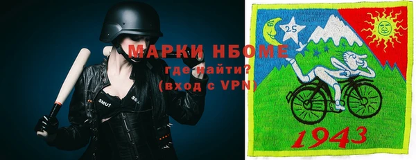 стафф Алексин
