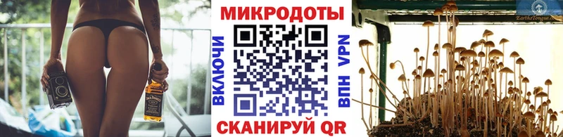 Галлюциногенные грибы MAGIC MUSHROOMS Шумерля